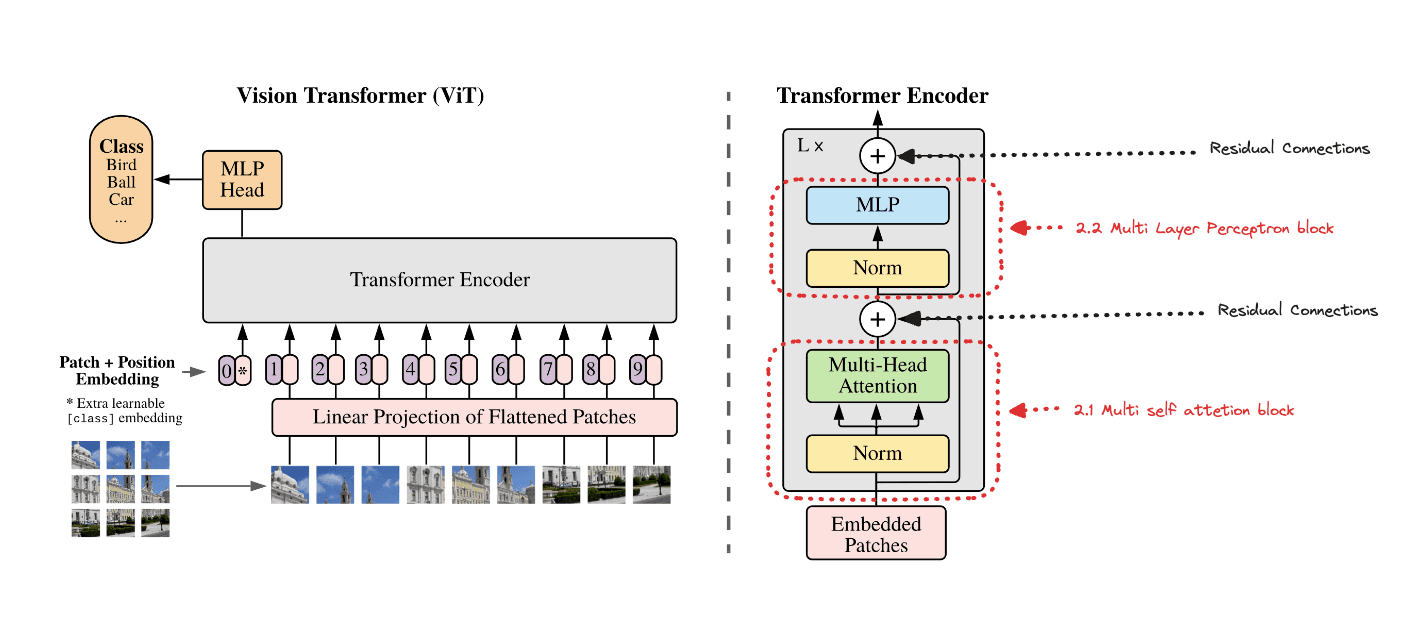 msa-mlp